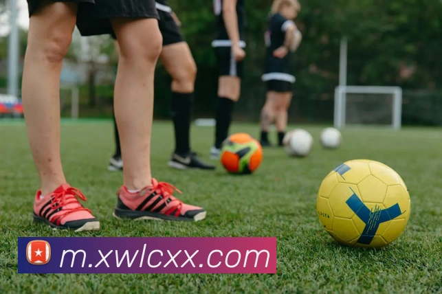 M体育平台生态图